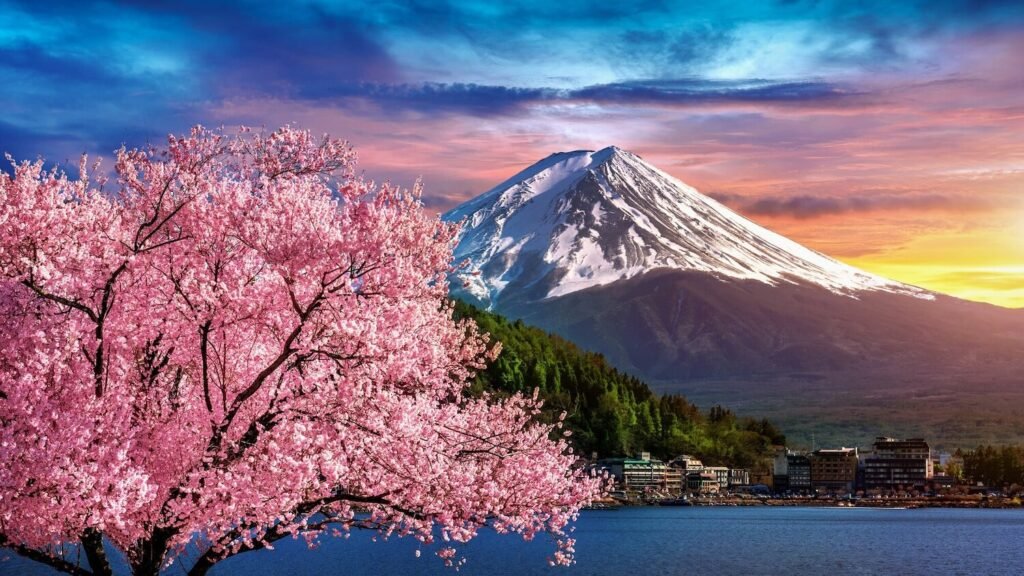 Fuji mountain and cherry blossoms in spring, Japan